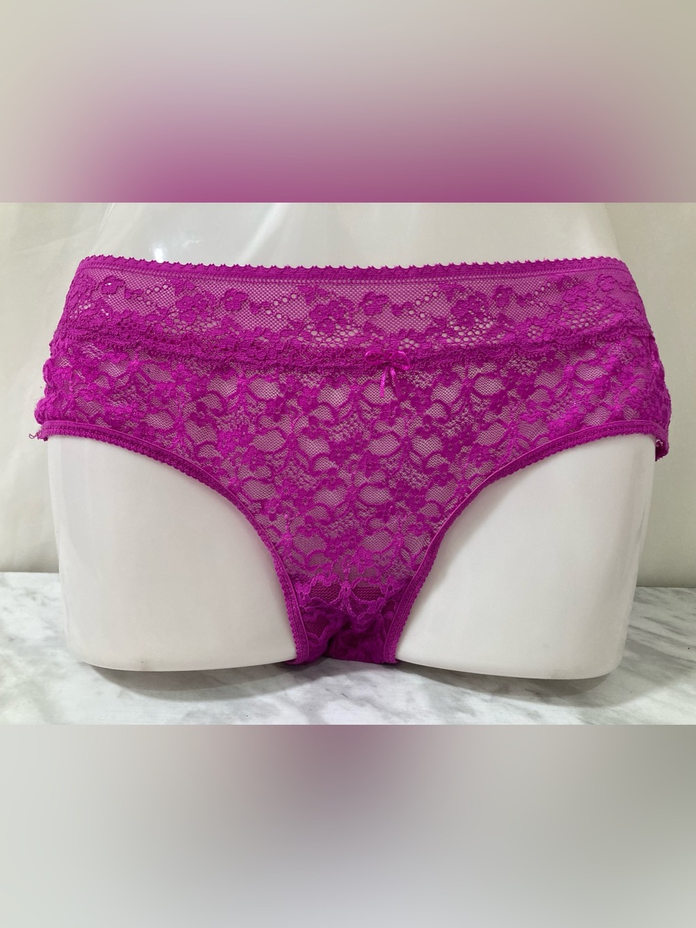 Miiyu Fuchsia Floral Lace Hipster Brief Underwear Size L NWOT